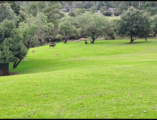 2 BEDROOM PROPERTY TO RENT IN HONEYDEW